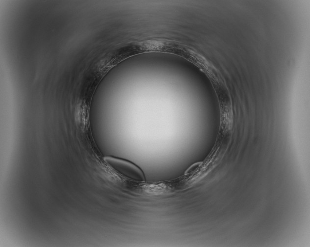 X0000116680525200912141434