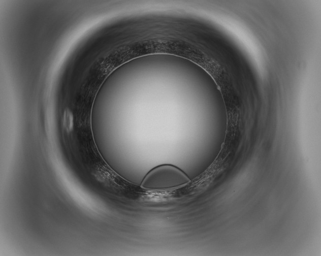 X0000116680526200912141434