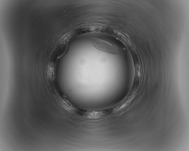 X0000116680527200912141434