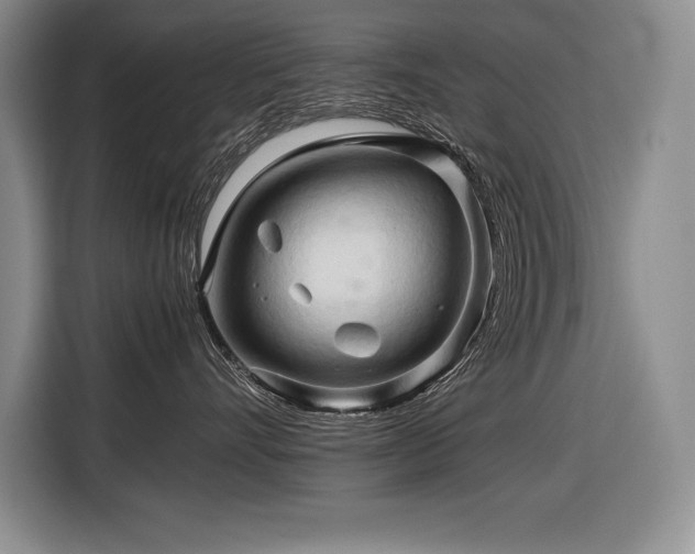 X0000116680528200912141434