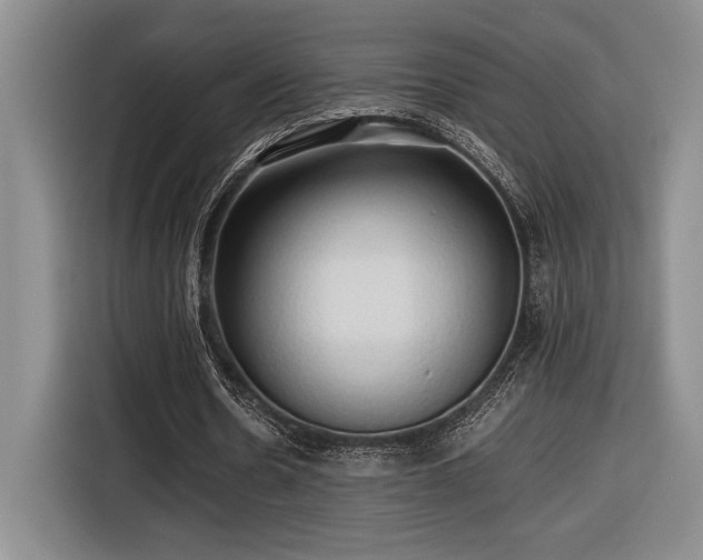 X0000116680530200912141434