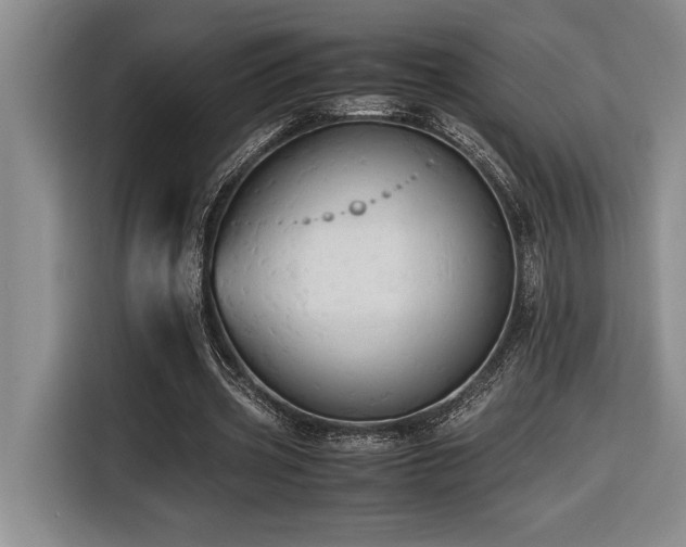 X0000116680533200912141434