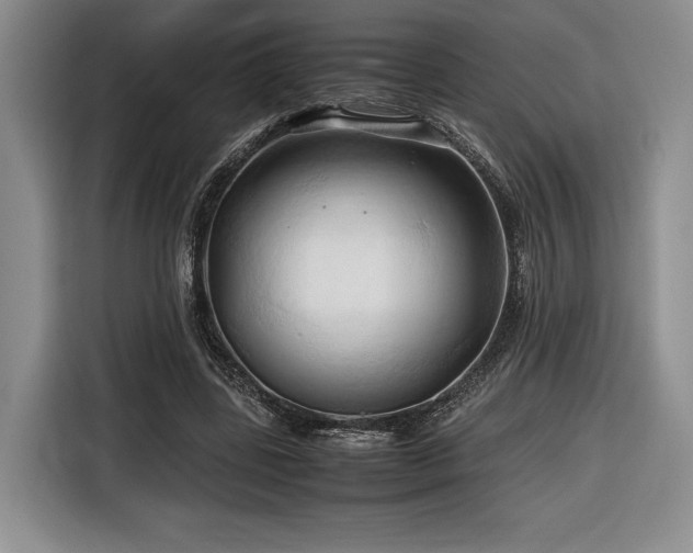 X0000116680539200912141434