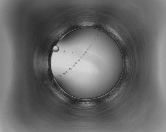 X0000116680541200912141434