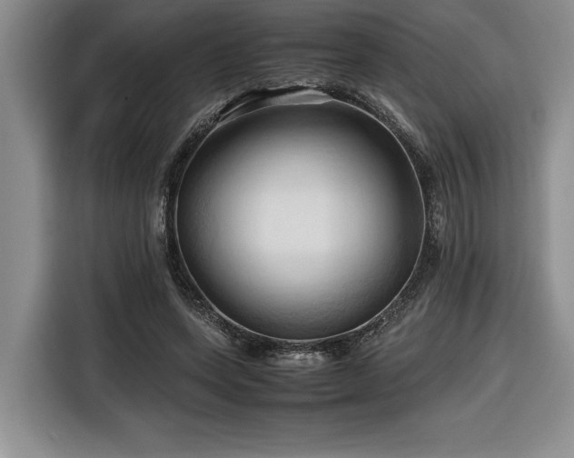 X0000116680543200912141434