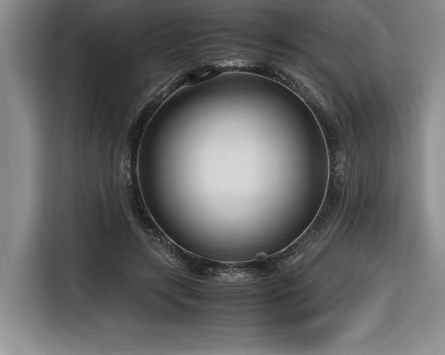 X0000116680547200912141434