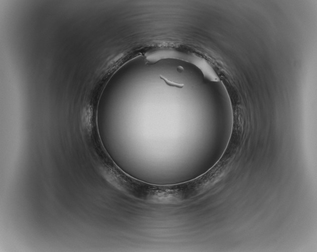 X0000116680550200912141434