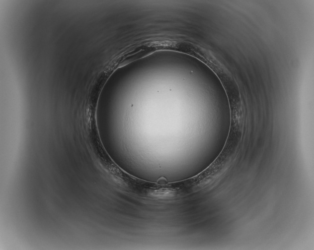 X0000116680551200912141434