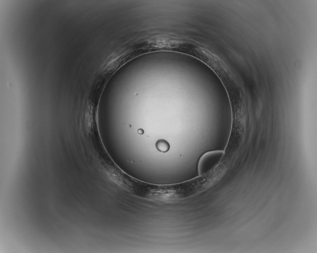 X0000116680554200912141434