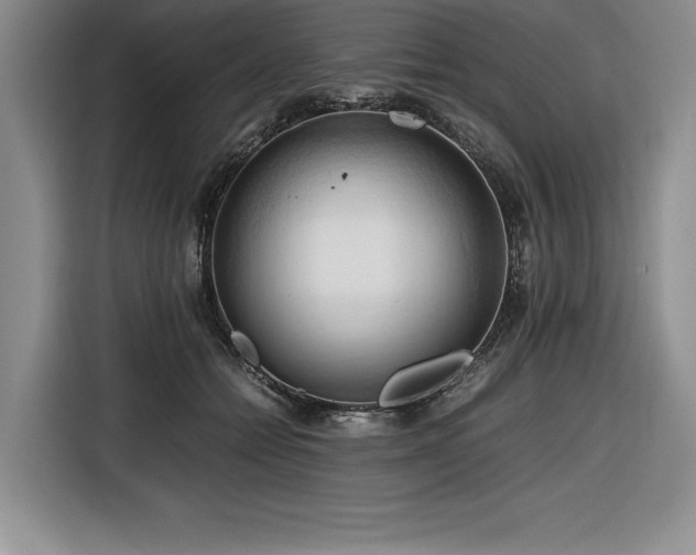 X0000116680558200912141434