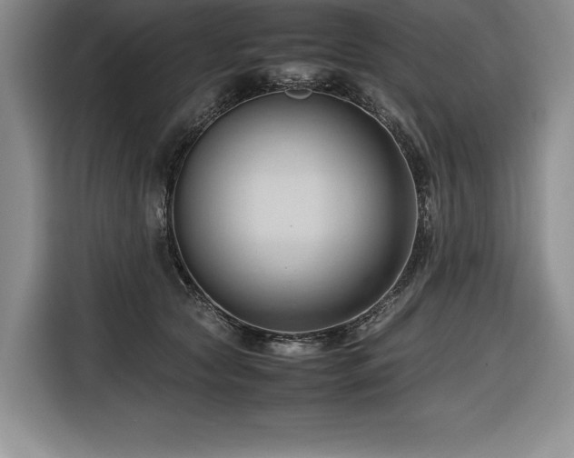 X0000116680561200912141434