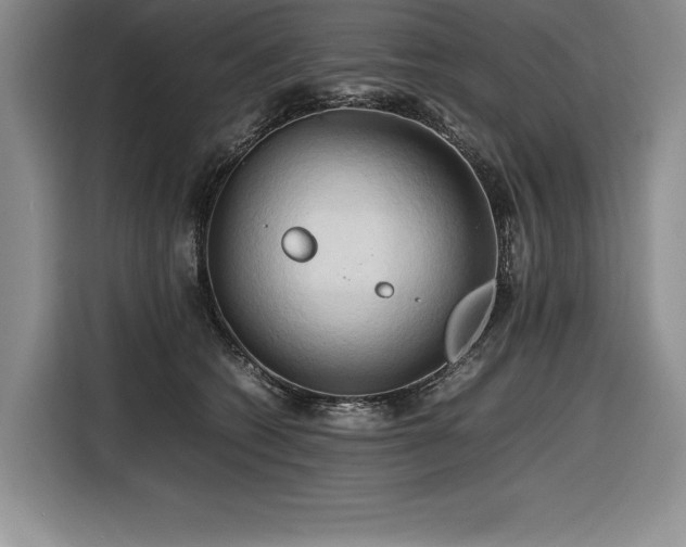 X0000116680562200912141434