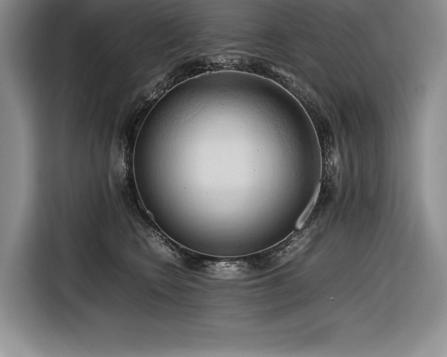 X0000116680566200912141434