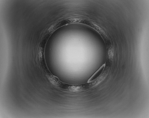 X0000116680570200912141434