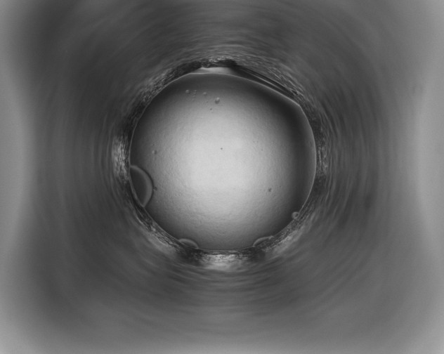 X0000116680575200912141434