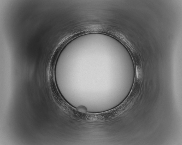 X0000116680579200912141434