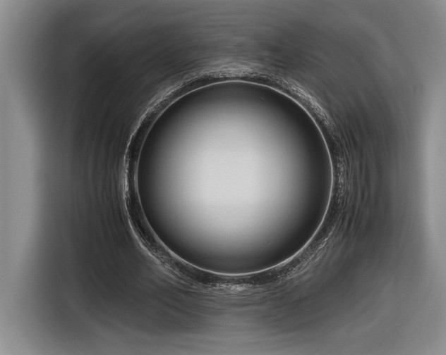 X0000116680582200912141434