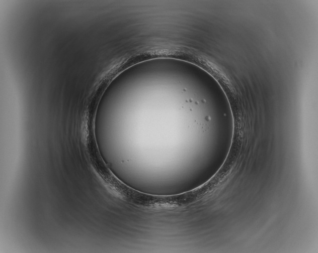 X0000116680586200912141433