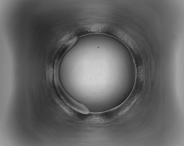 X0000116680589200912141433