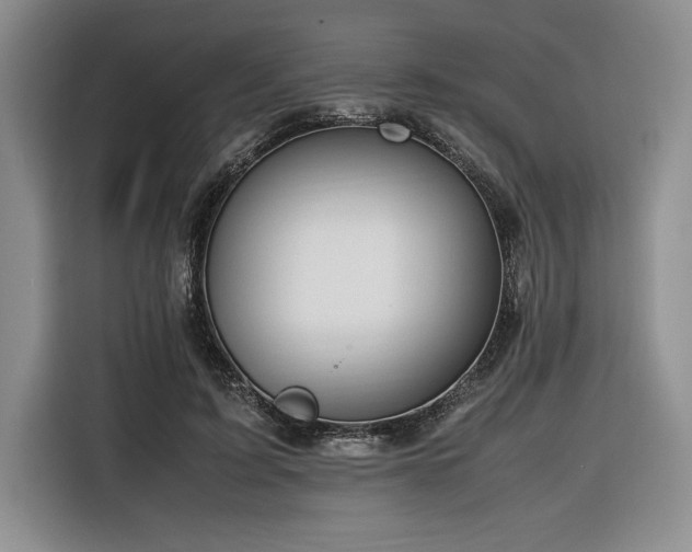 X0000116680595200912141433