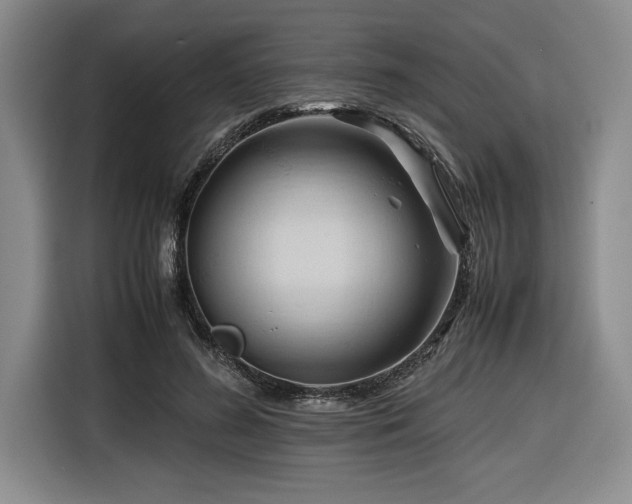 X0000116680596200912141433