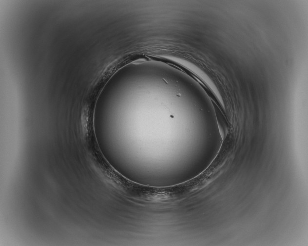 X0000116680600200912141433