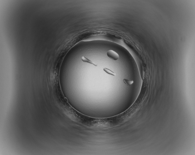 X0000116680601200912141433