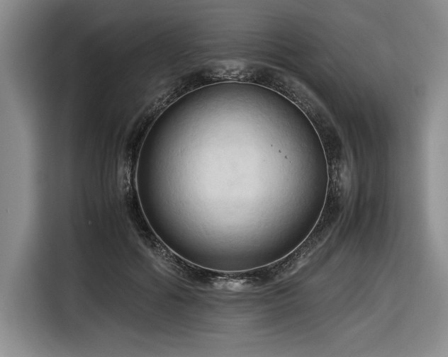 X0000116680602200912141433