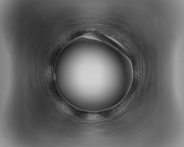 X0000116680605200912141433