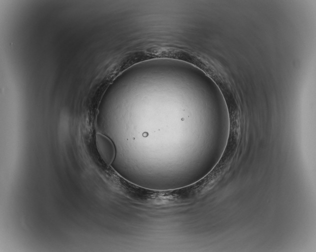 X0000116680607200912141433