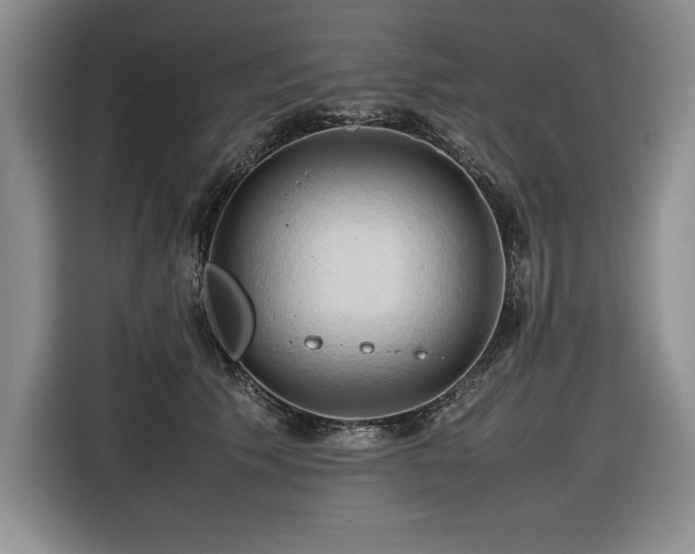 X0000116680609200912141433