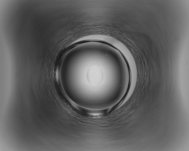 X0000116680611200912141433