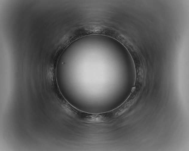 X0000116680612200912141433