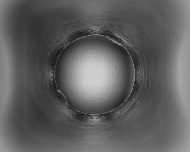 X0000116680613200912141433