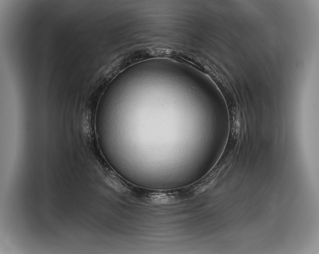 X0000116680616200912141433