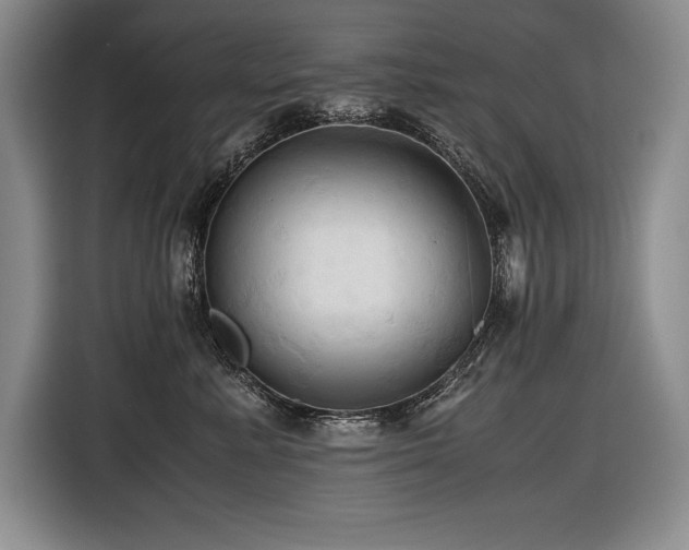 X0000116680619200912141433