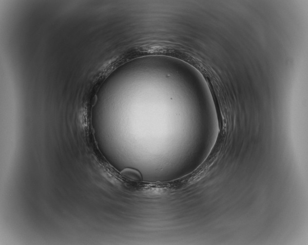 X0000116680620200912141433