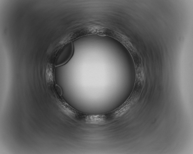 X0000116680622200912141433