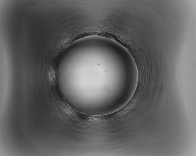 X0000116680624200912141433