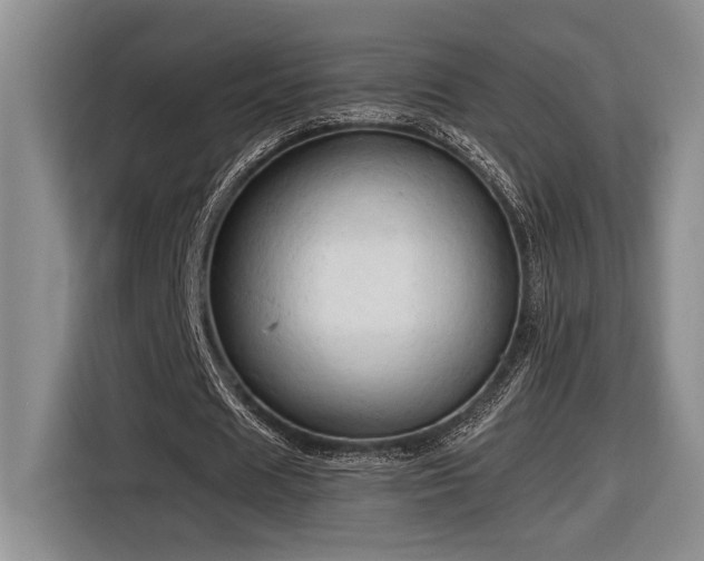 X0000116680625200912141432