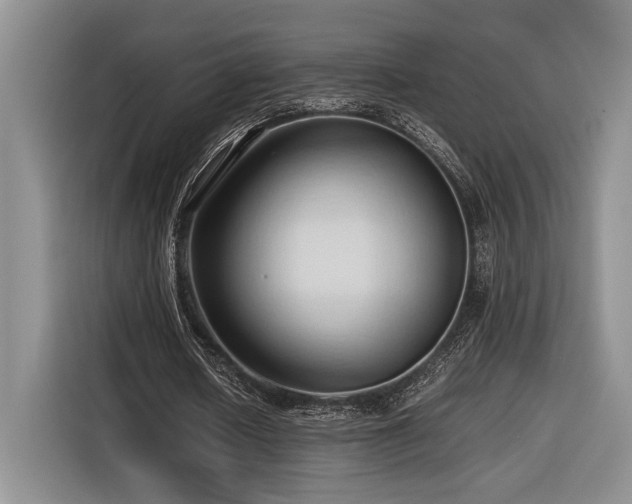 X0000116680626200912141432