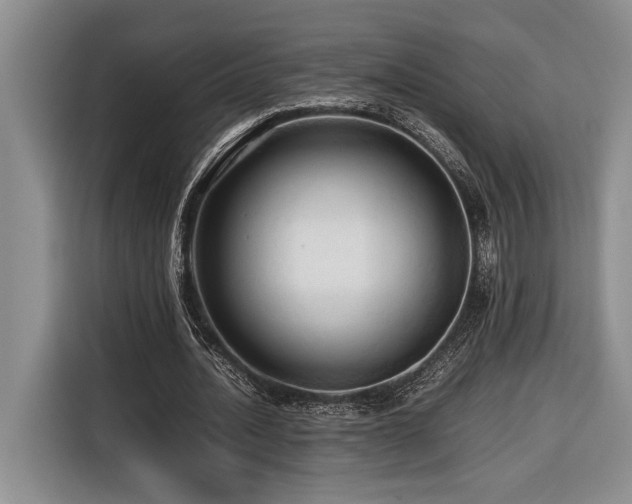 X0000116680628200912141432