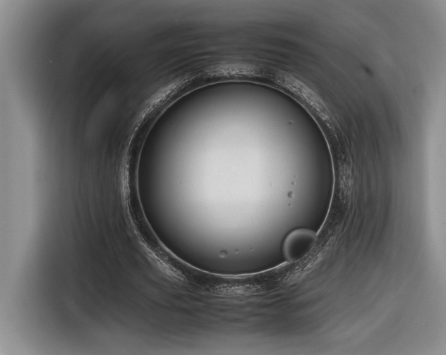 X0000116680629200912141432