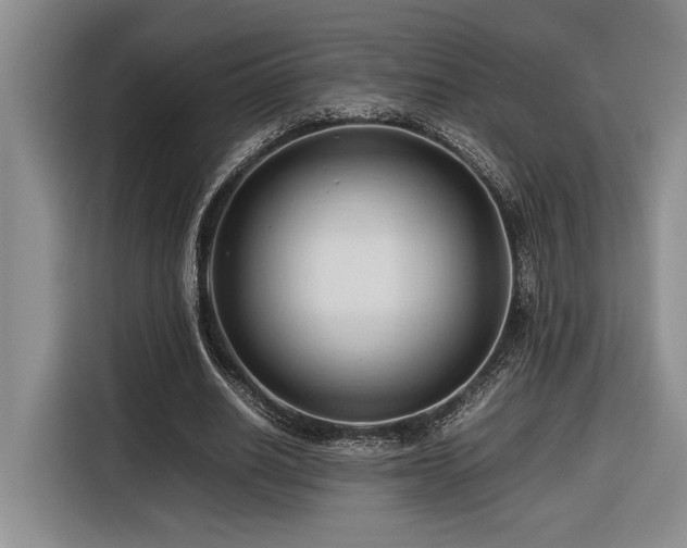 X0000116680630200912141432