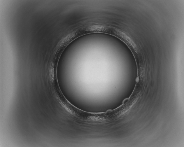 X0000116680633200912141432