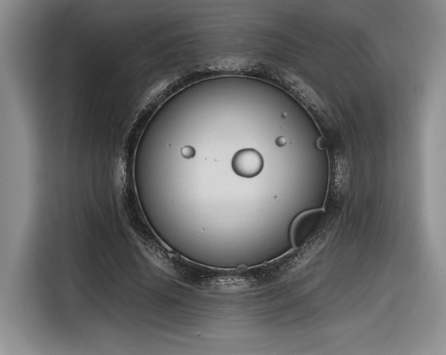 X0000116680636200912141433