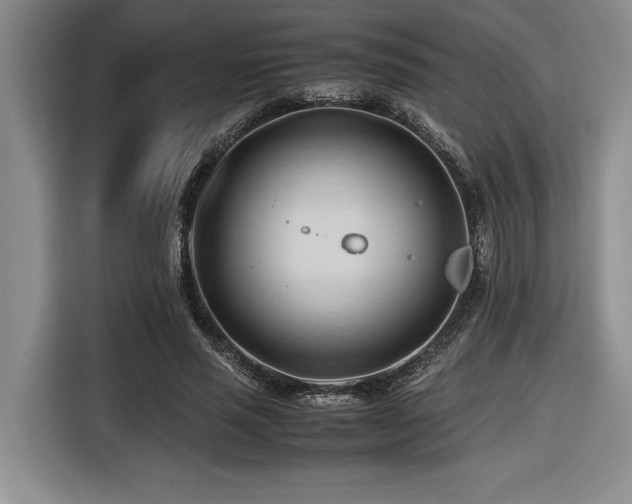 X0000116680637200912141433