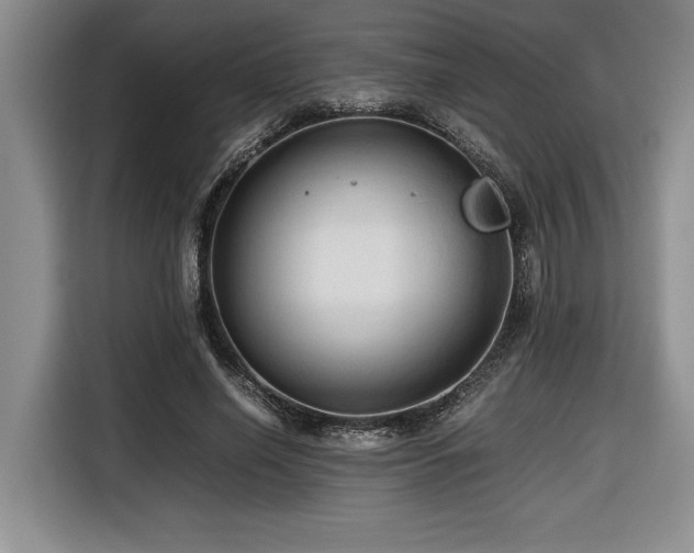 X0000116680638200912141433