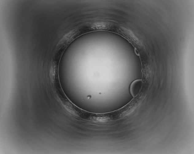 X0000116680645200912141433