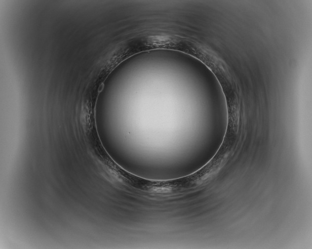 X0000116680653200912141433